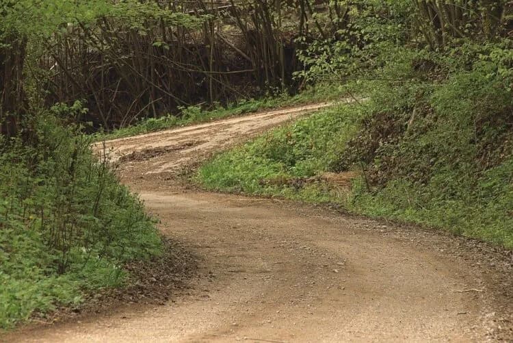 Jak zrobić podjazd do domu: unikaj najczęstszych błędów i kosztów