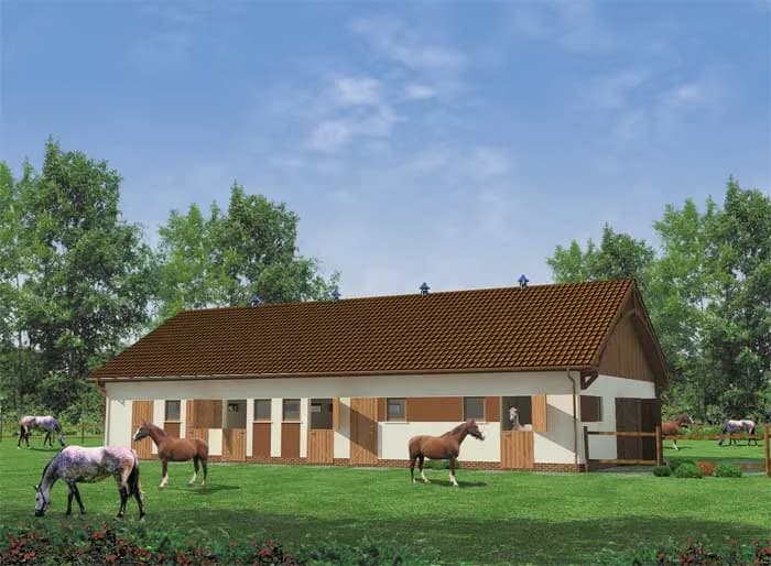 Ile kosztuje wybudowanie stajni? Poznaj ukryte koszty i czynniki